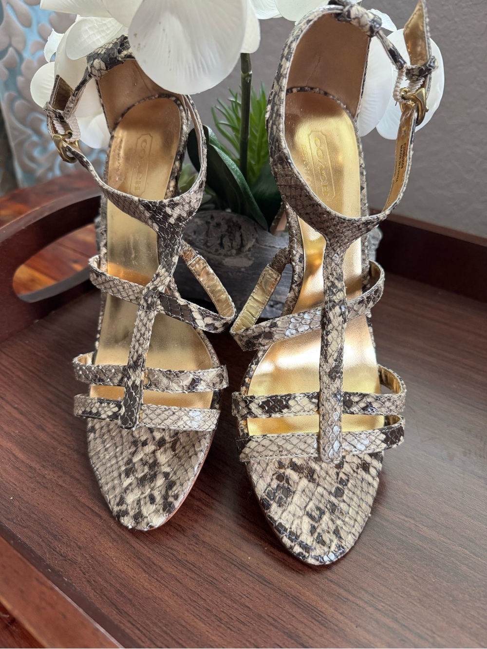 Coach Hayden Snakeskin Strappy Kitten Heel Sandals 6.5B